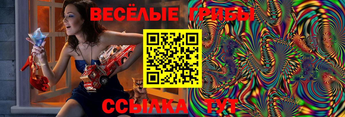 Галлюциногенные грибы мицелий  Вход с VPN  Сарапул 