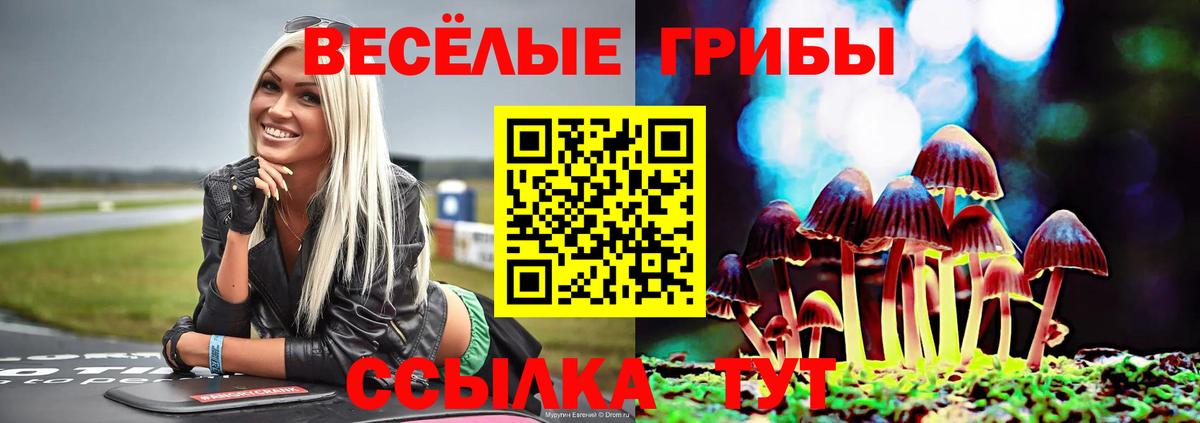 Псилоцибиновые грибы MAGIC MUSHROOMS Сарапул